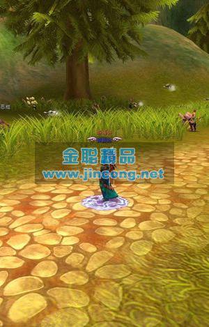 3D网游单机【新武林群侠传】一键服务端GM金叶红利+中文客户端+登录器（带安装视频）