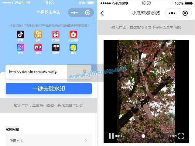 抖音去水印小程序源码 独立版 无后台