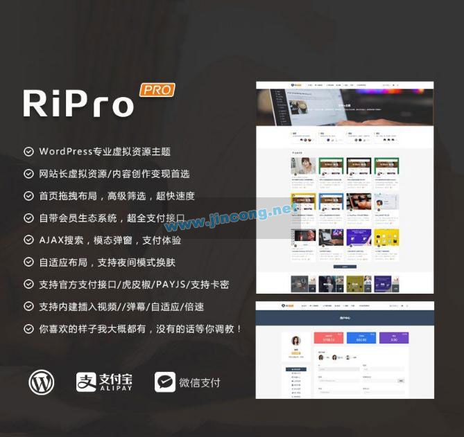 RiProV4.3.0破解去授权无限制版本 WordPress主题